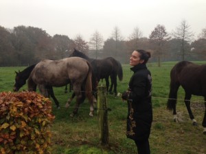 Rebecca with horses in the netherlands